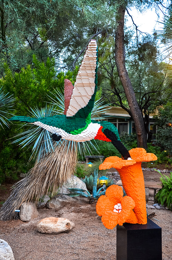 Read more about the article Tucson Botanical Gardens: New Visitors’ Center & Exhibits